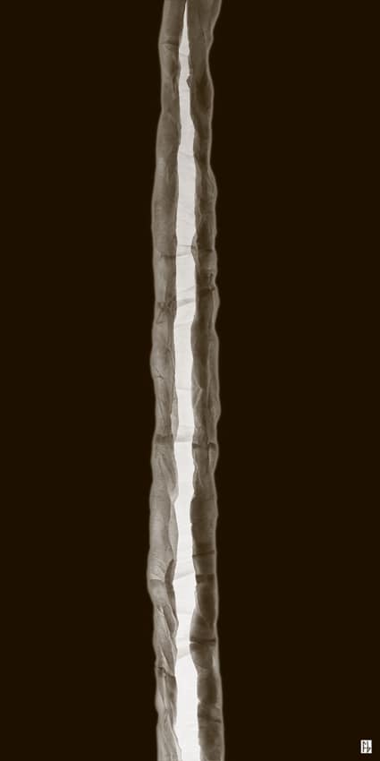 structure feuille de soie-1