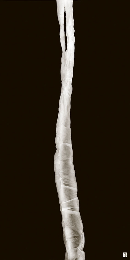 structure feuille de soie-2