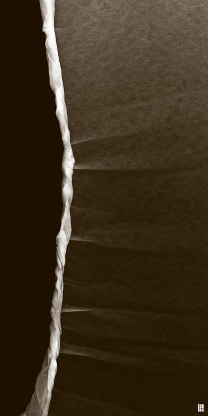 structure feuille de soie-5