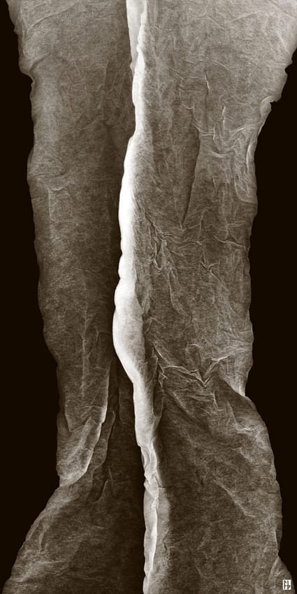 structure feuille de soie-7