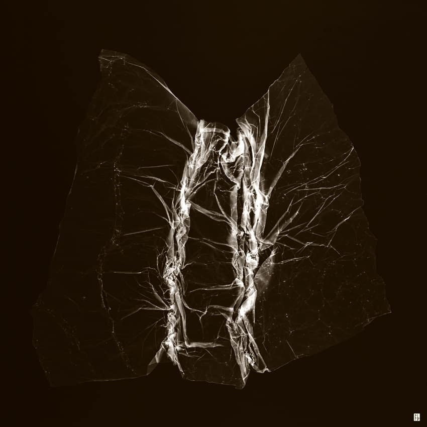 structure feuille de soie-8