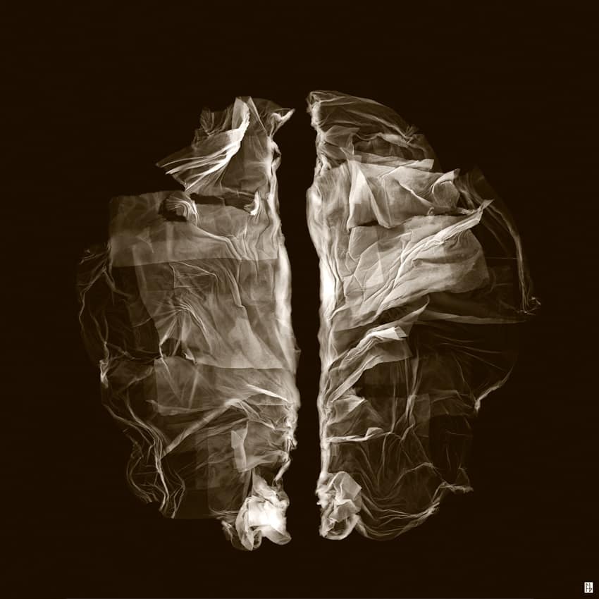 structure feuille de soie-9