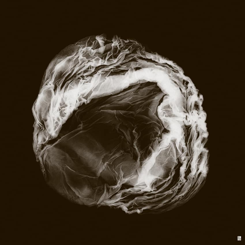 structure feuille de soie-10